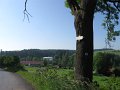 IMG_4006
