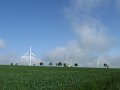 IMG_4007