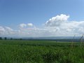 IMG_4037