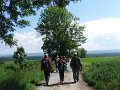 IMG_4039