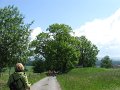 IMG_4041