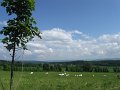 IMG_4042